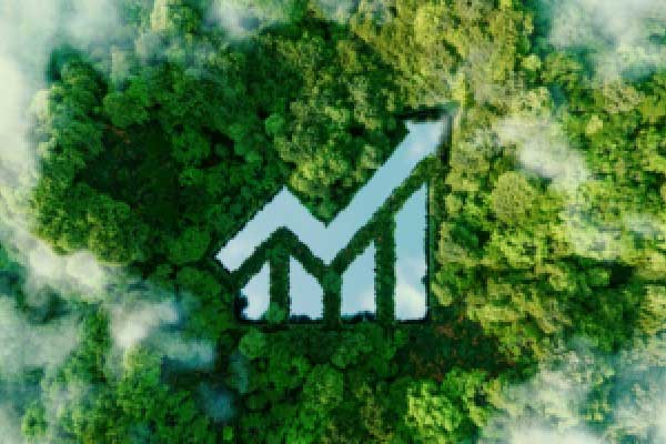 在被罚款1.4亿美元后 埃隆·马斯克呼吁废除欧盟